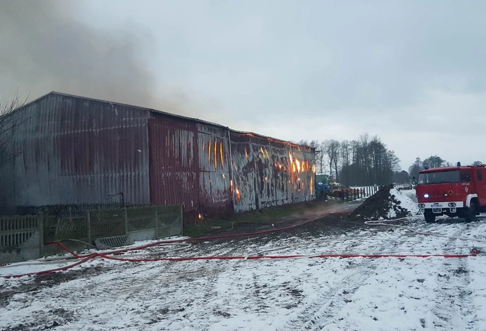 Rolnicy spod Turka w pożarze gospodarstwa stracili paszę i maszyny. Potrzebują każdej pomocy