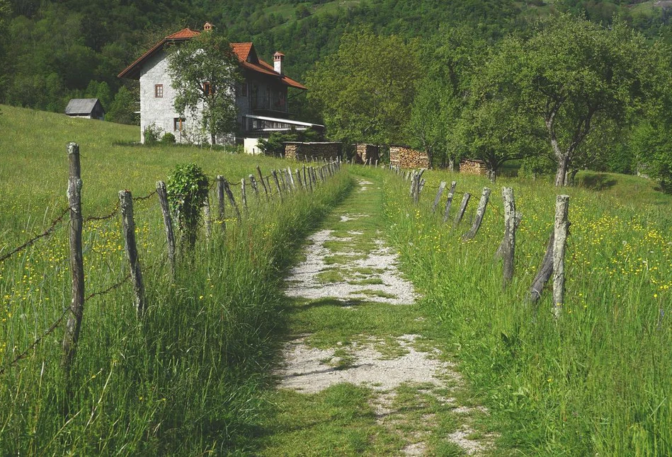 Błąd przy podpisywaniu umowy darowizny może być bardzo kosztowny