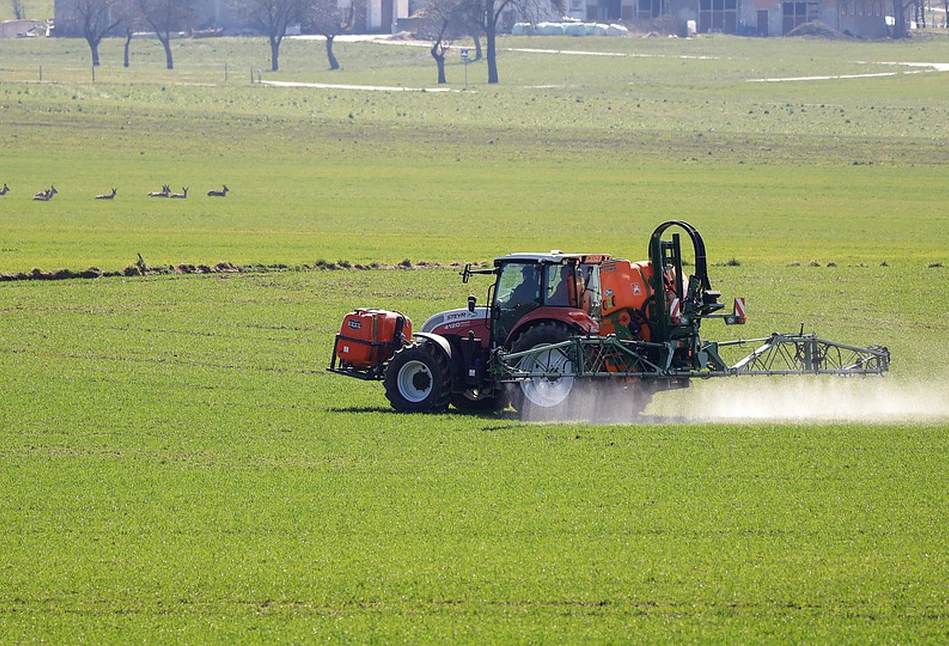 Wiosenna ochrona herbicydowa zbóż to duże wyzwanie dla plantatorów