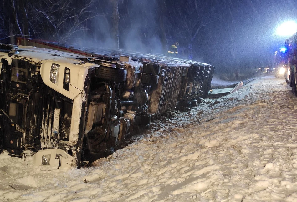 Wypadek ciężarówki z 200 świniami. „Zastaliśmy totalny chaos!“ [ZDJĘCIA]