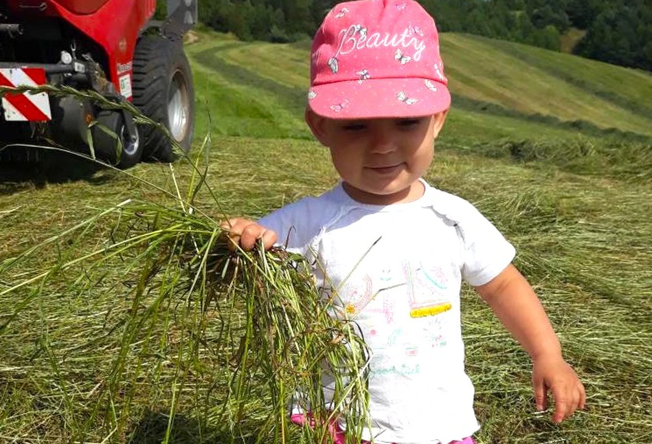 Zdjęcie tygodnia: Zosia, mała ekspertka od siana