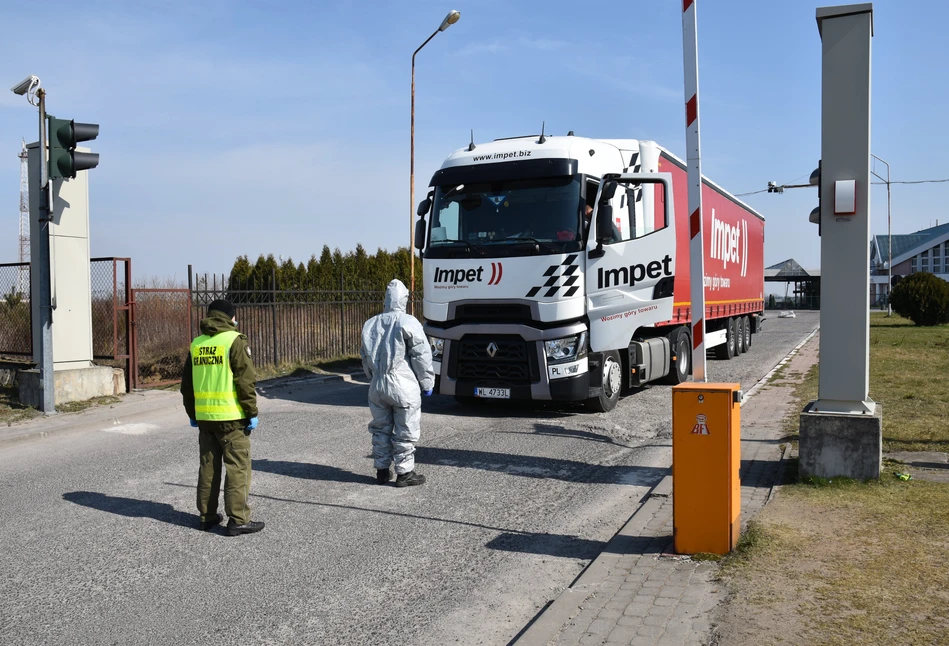 Koronawirus – transport zwierząt przez granicę poza kolejnością