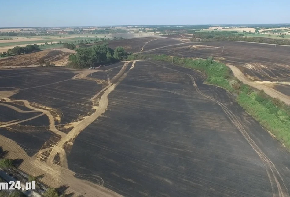 Gigantyczny pożar zboża koło Gostynia – spłonęło 170 ha!