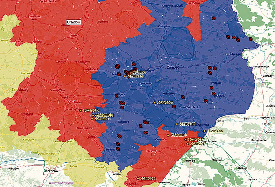 GIW wydał zalecenia do walki z ASF