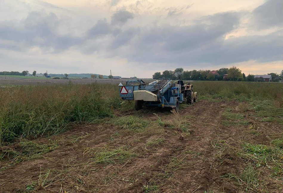 Dramat na polu pod Sandomierzem. Kombajn wciągnął kobietę