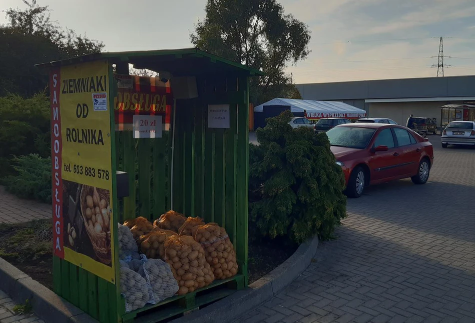 Samoobsługowe budki na ziemniaki - pomysłowy rolnik z kujawsko-pomorskiego