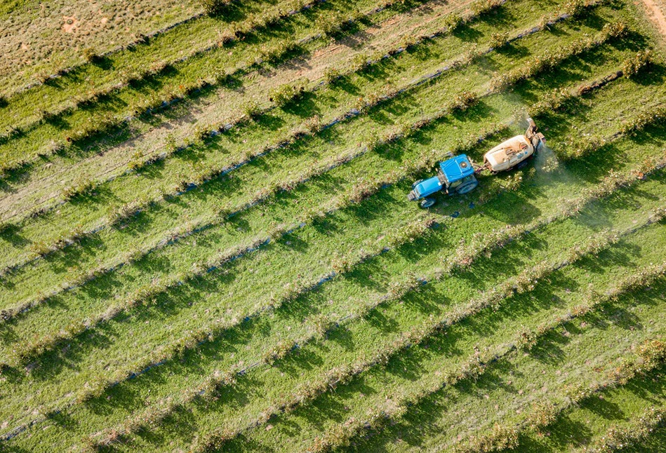 Dopłaty bezpośrednie 2022: termin składania wniosków przedłużony