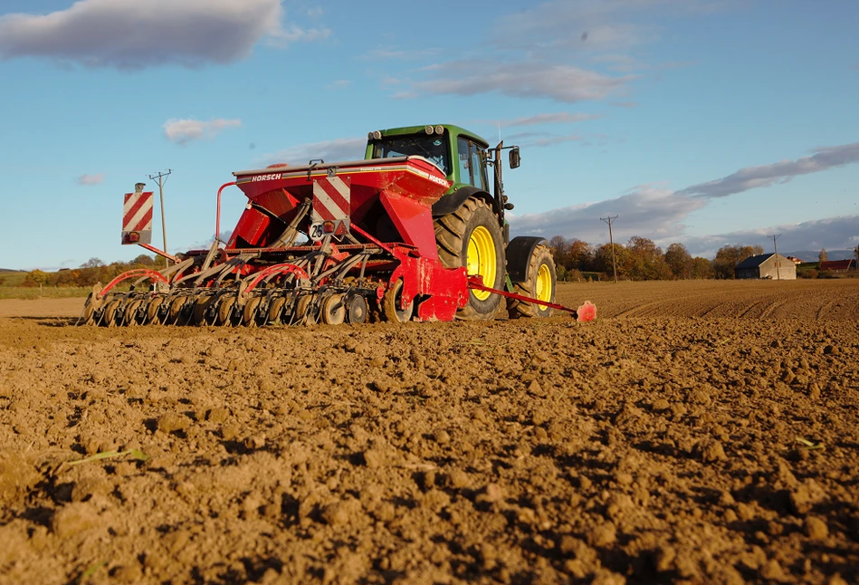 Zasady siewu rzepaku. Ile nasion na hektar w siewie punktowym, a ile w strip-till?