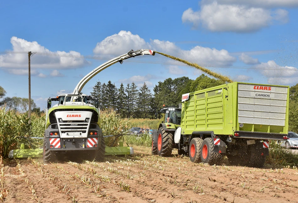 78 ton z ha – nowy rekord Polski plonu kukurydzy!