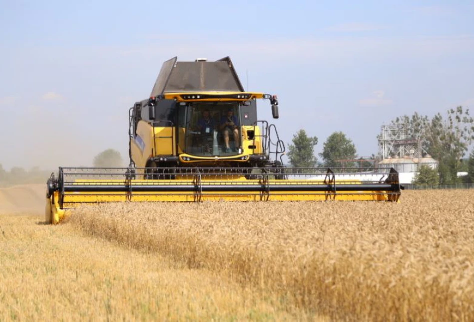 Grudniowy raport USDA: pszenicy będzie więcej