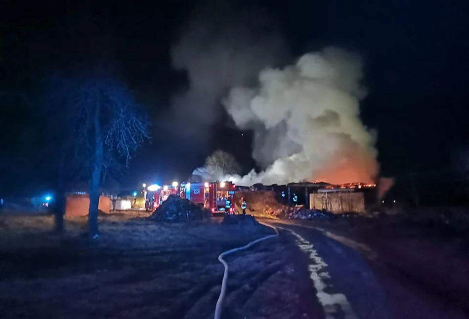 Tragiczny finał pożaru na Podlasiu. Żywcem spłonęło 30 sztuk bydła