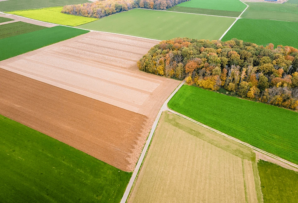 Ubezpieczenia upraw rolnych i zwierząt –  znamy szczegóły, system wyliczania i listę zakładów!