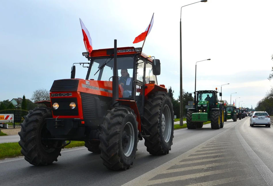 Polska ma do zaoferowania rolnikom głównie trud i łzy