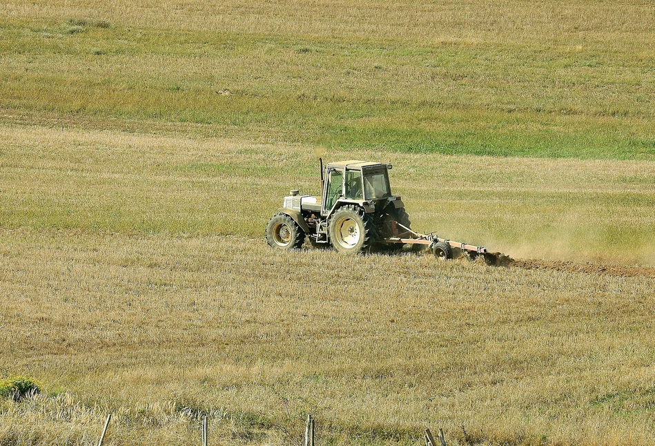 Czy rolnicy dotknięci wichurami mogą liczyć na dotacje na odbudowę gospodarstwa?