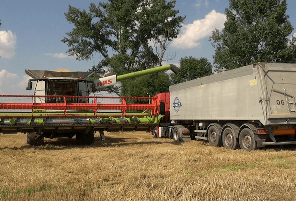 Żniwa w Kombinacie Rolnym Kietrz, Top Farms Głubczyce i na Pogórzu Głubczyckim