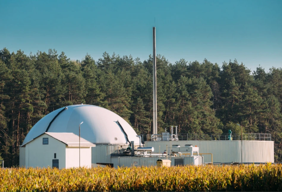 Czy biogazownie rolnicze i fotowoltaika na wsi pozwolą nam obniżyć koszty energii?