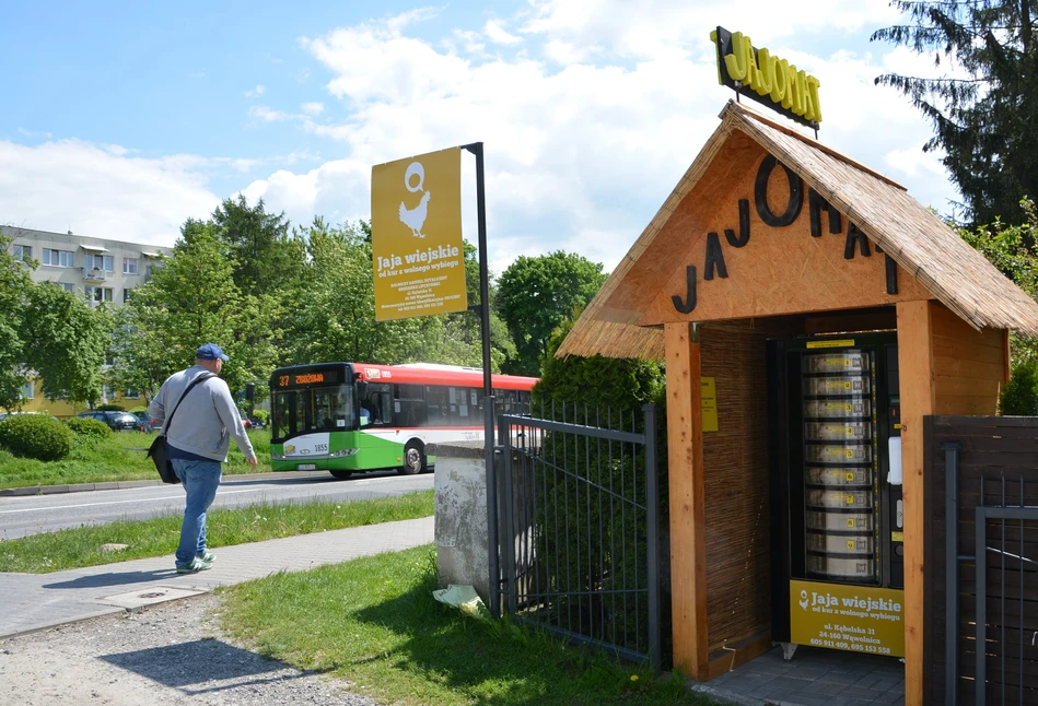 Rolnik ustawił jajomat w Lublinie. Kury nie nadążają ze znoszeniem jajek