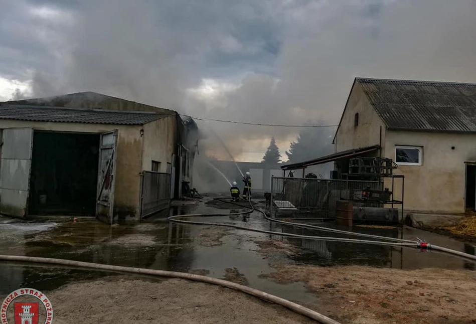 Wielkopolska: Pożar w gospodarstwie – spłonęły zwierzęta, słoma i budynki