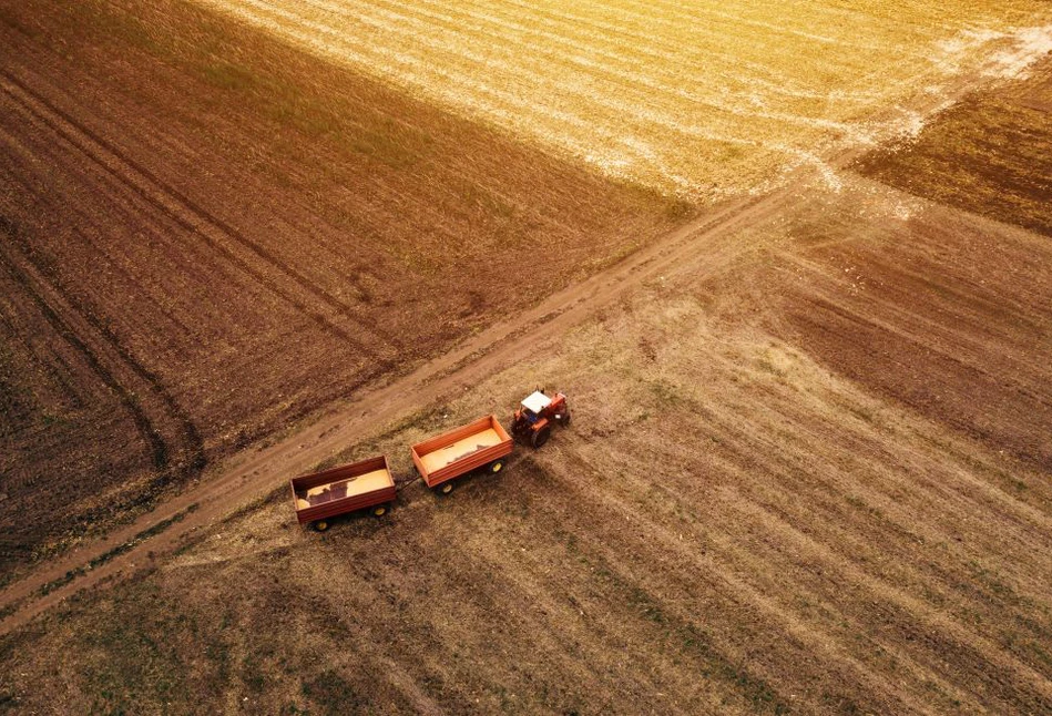 Grunty użytkowane przez Top Farms wrócą do zasobu KOWR i trafią do rolników indywidualnych. Mamy wykaz działek rolnych