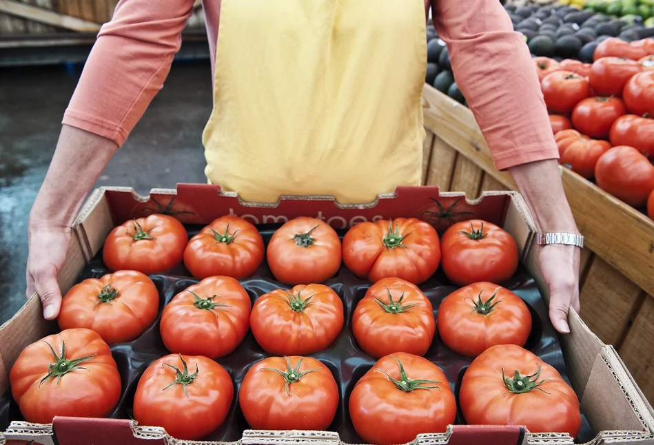 Produkcja pomidorów zagrożona? Rosnące temperatury wpływają na główne obszary produkcji