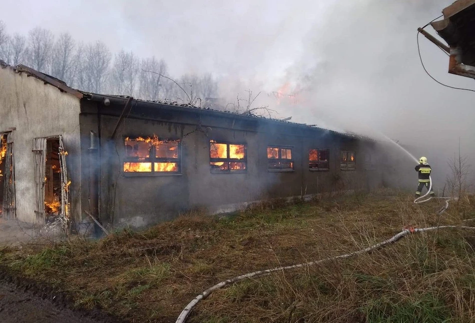 Pożar na fermie w Suchorzu - zapalił się magazyn słomy