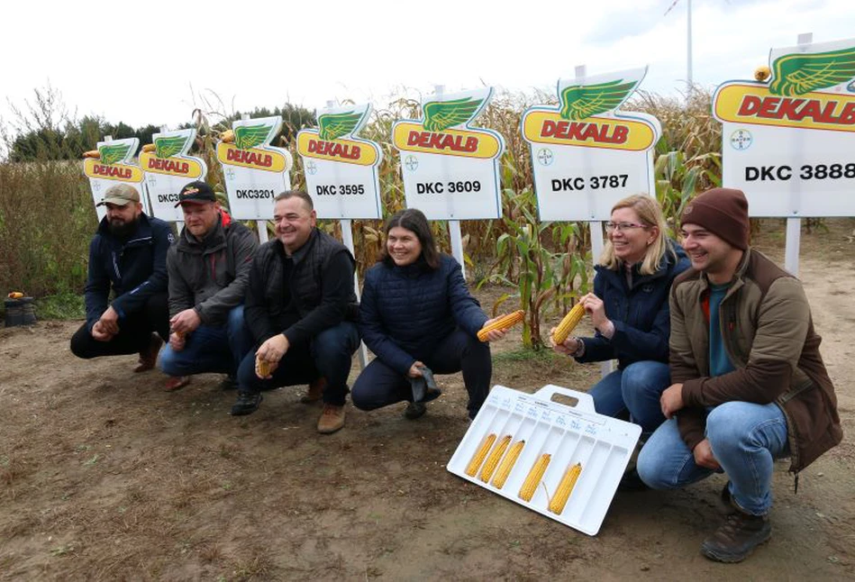 Rozwiązanie Bayera na suszę w kukurydzy