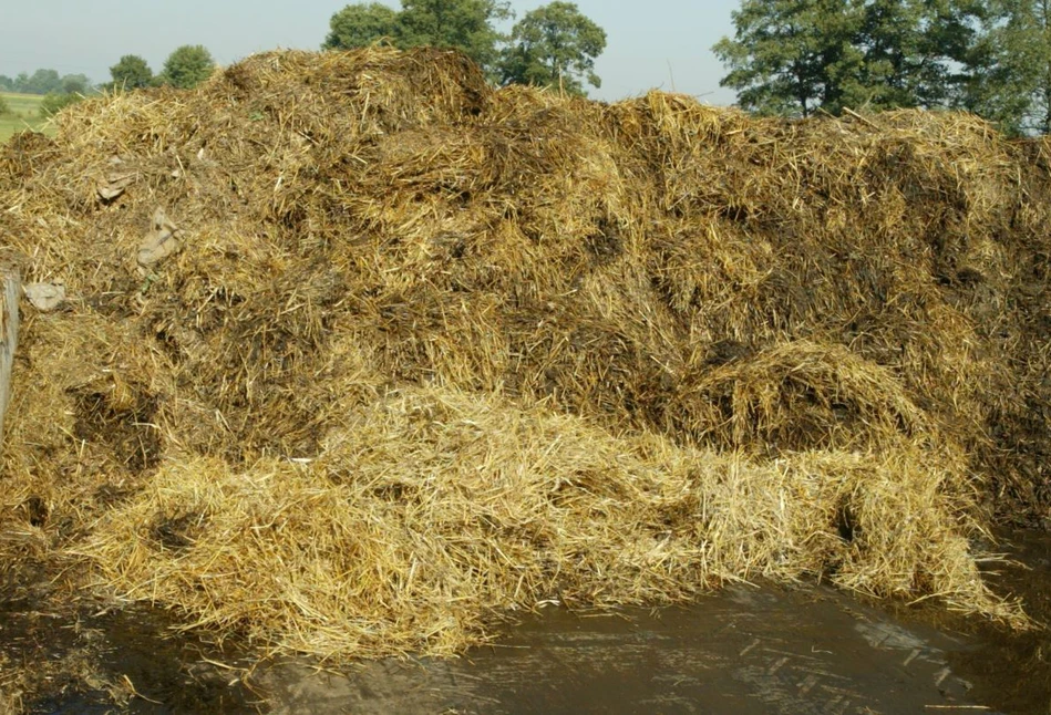 Czym jest RENURE – zamiennik dla nawozów chemicznych? Jakie są kryteria?