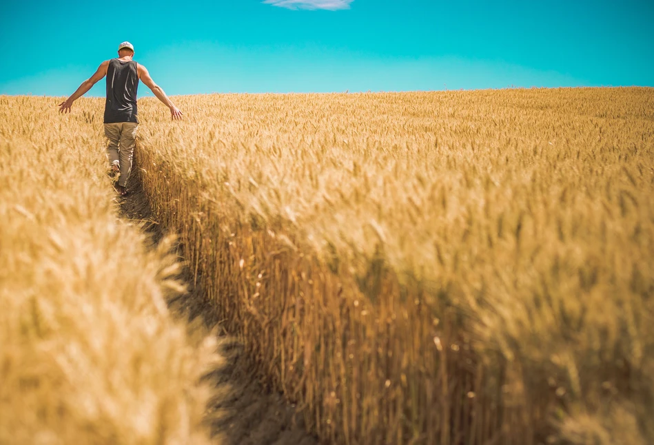 Program EIT Food Grow rusza! Jakie są jego możliwości?