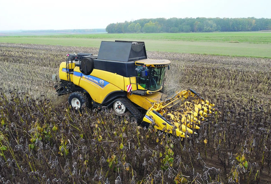 Zbiór słonecznika kombajnem New Holland CX 8.85 z przystawką do kukurydzy. Jak to wygląda na Podlasiu?