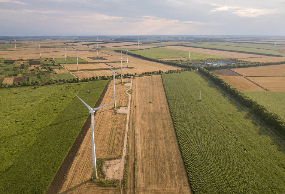 Zielony Ład: Bezpieczeństwo żywnościowe i zrównoważone produkty jako norma