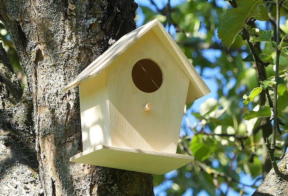 DIY: budka lęgowa dla ptaków. Jak zrobić ją samemu?