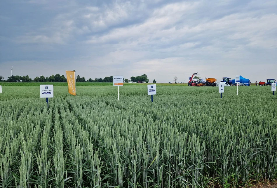 Jak zwiększyć opłacalność produkcji? – Dni Pola HR Strzelce i BASF