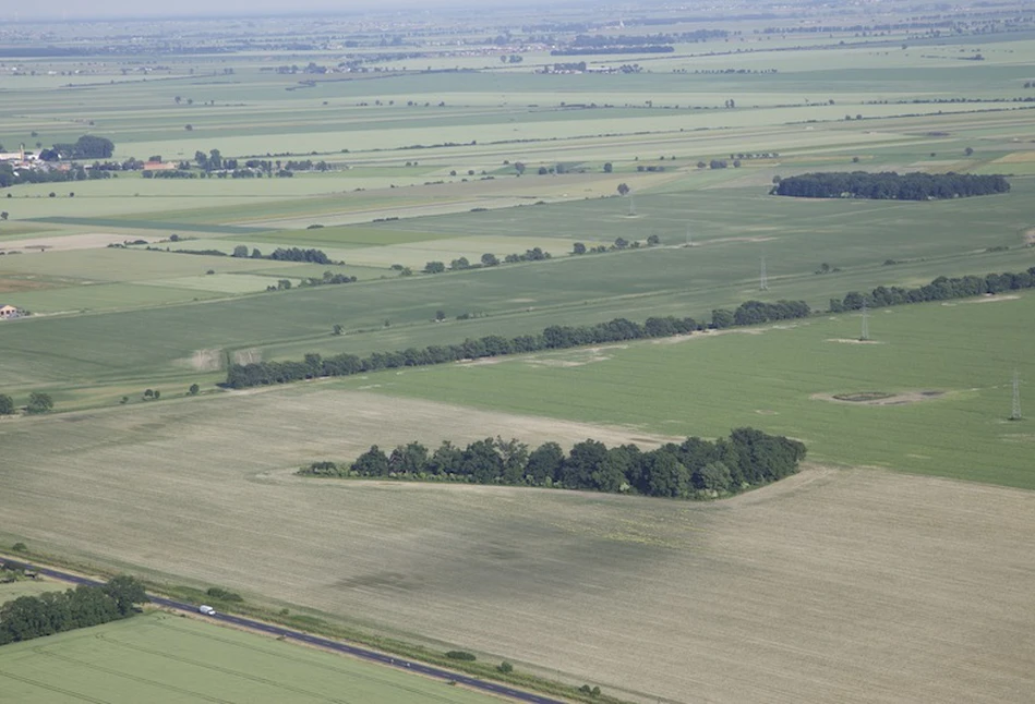 Jakie są koszty geodety przy nabyciu gruntu