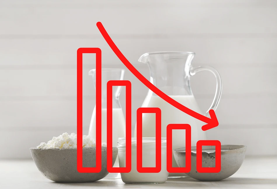 Global Dairy Trade: giełda Fonterry znowu na minusie