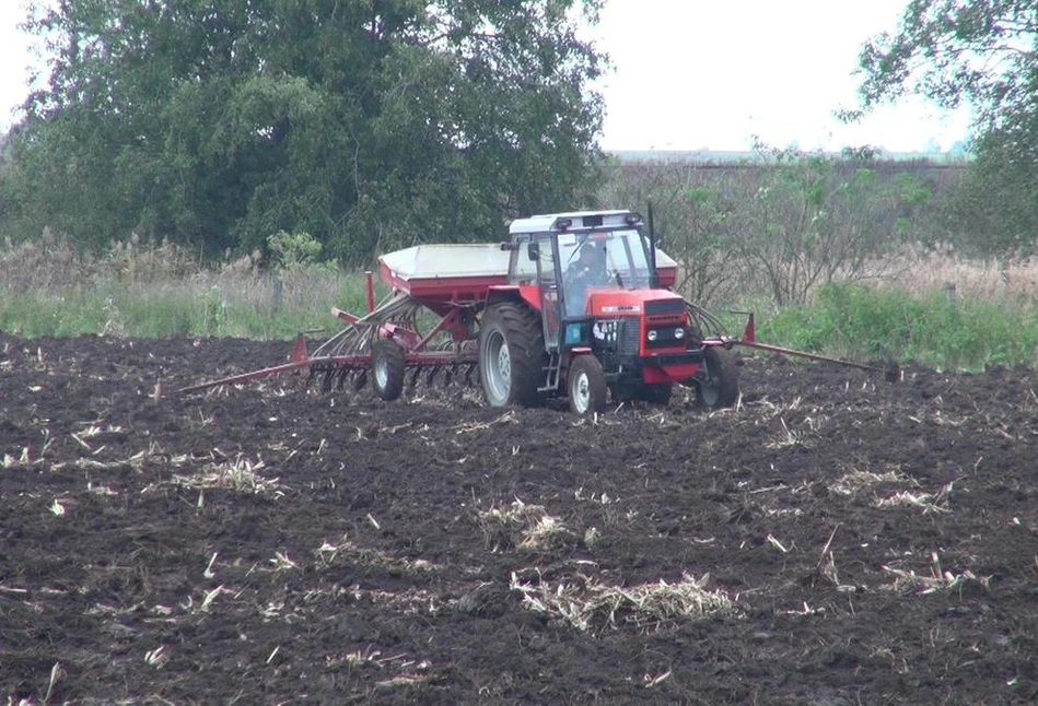 Późnojesienne orki i siewy zbóż. Jak w trudnych warunkach polowych radzą sobie rolnicy? (FILM)