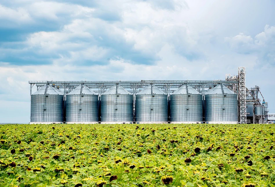 Ukraina wyeksportuje do Gdańska 2 mln ton oleju. Trwają prace nad budową rurociągu