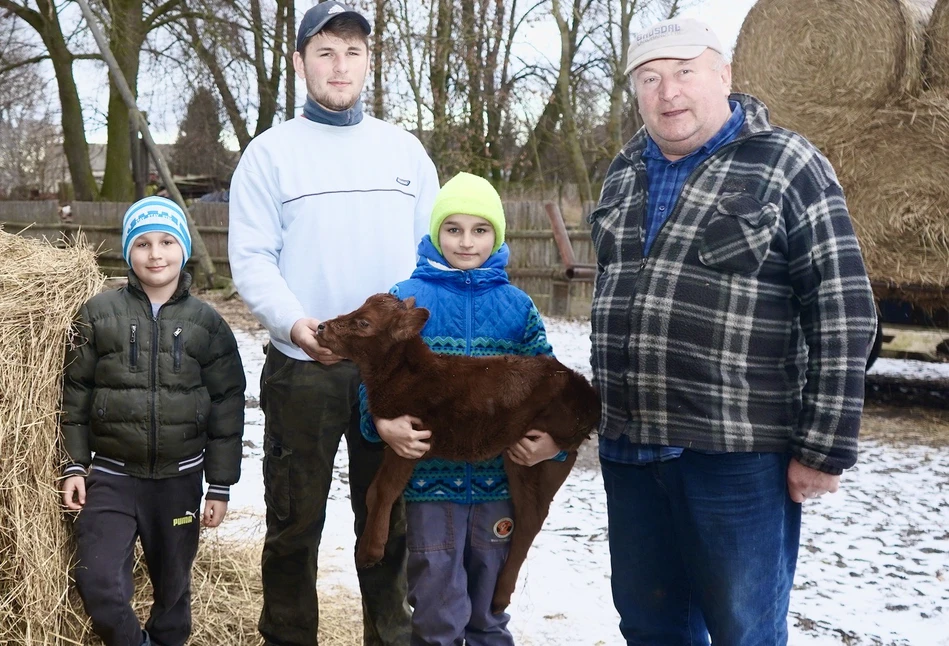 Jakie zalety u krów rasy polskiej czerwonej cenią rolnicy z Mazowsza?