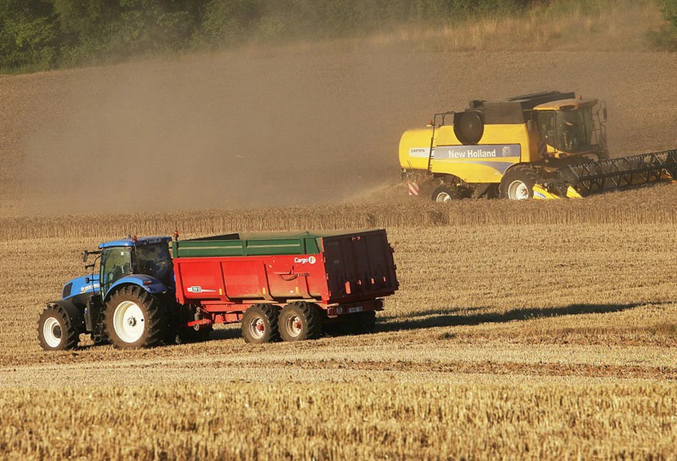 Jak zwiększyć plon zbóż, rzepaku i kukurydzy w 2022 roku? Konferencje Zimowe Syngenty