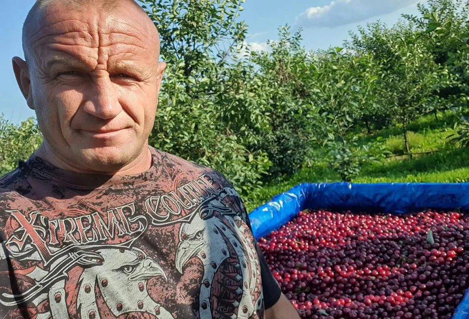 Kto zerwie więcej wiśni. Zakład Pudziana z Pauliną