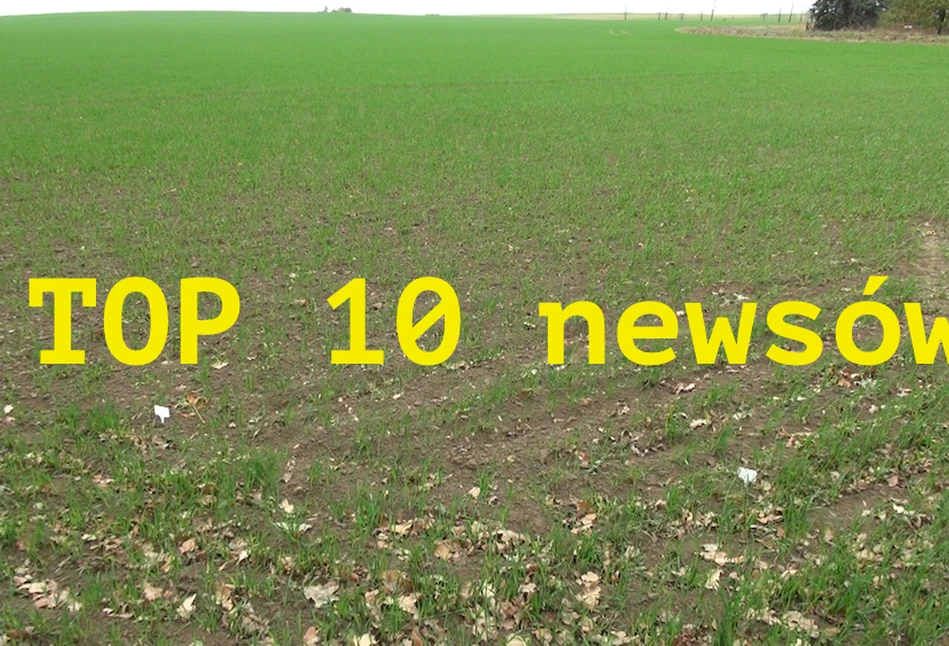 Top 10 newsów internetowych top agrar Polska w 2019 roku