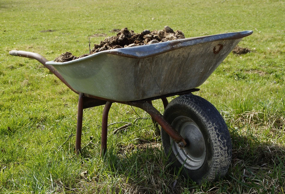 Nie zapomnij o jesiennym nawożeniu ogrodu