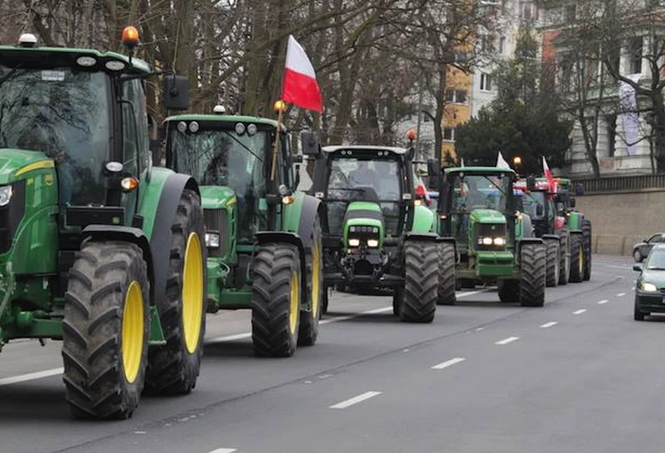 "Zabrakło deklaracji ze strony ministra". Producenci trzody będą jutro protestować