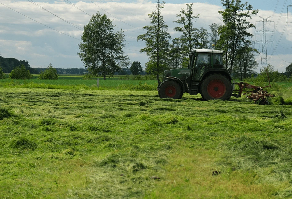 Jak rolnikom idą sianokosy?