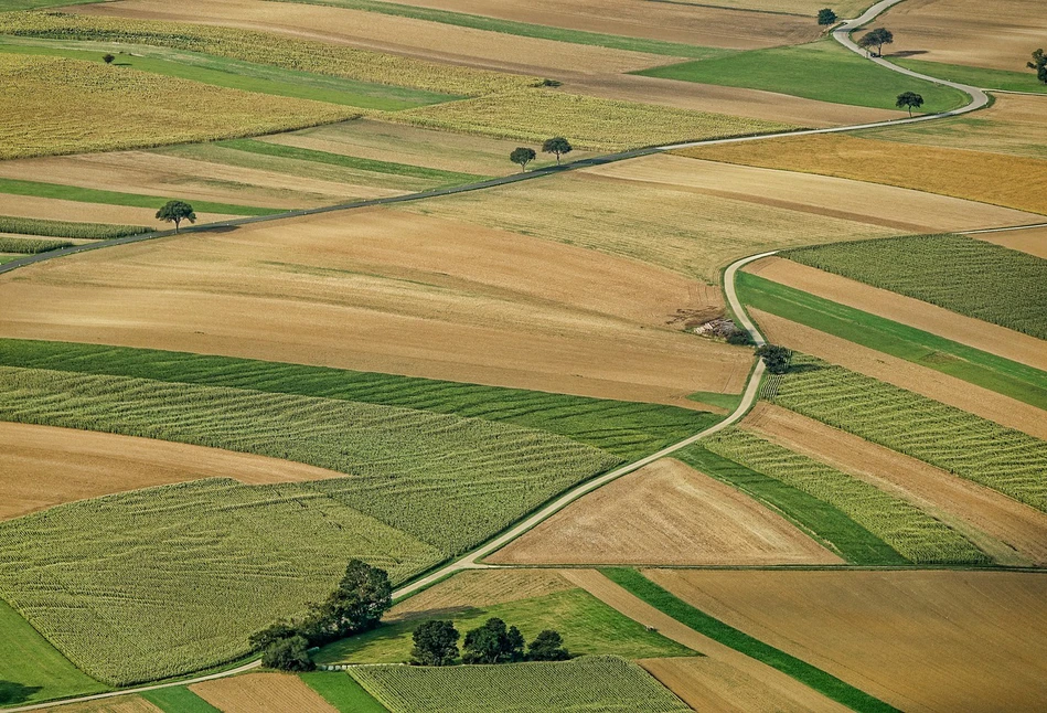 MRiRW: będzie reforma systemu emerytalnego rolników. Co chce zmienić rząd?