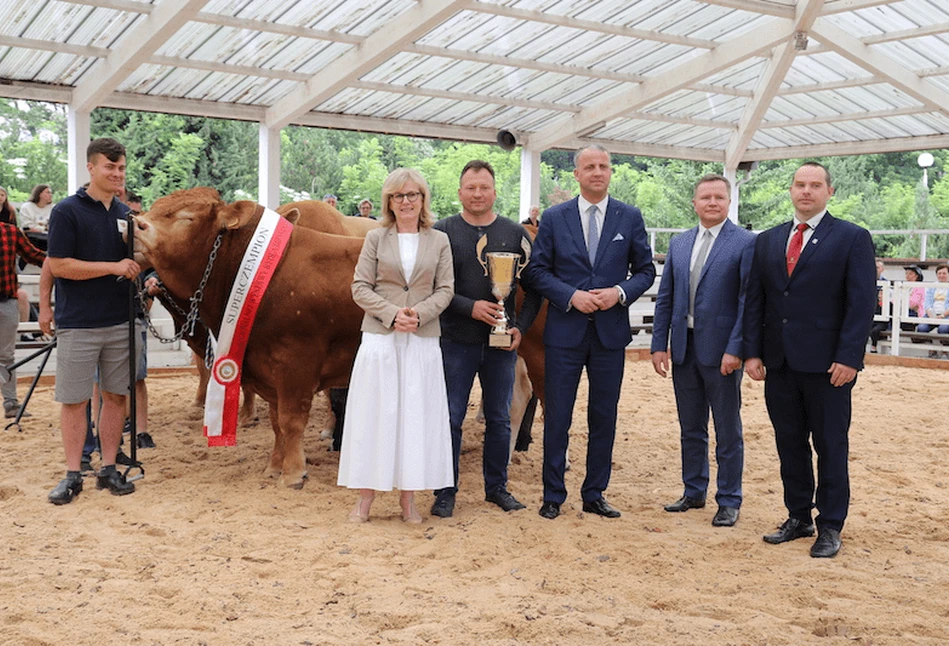 Wystawa bydła mięsnego w Sielinku