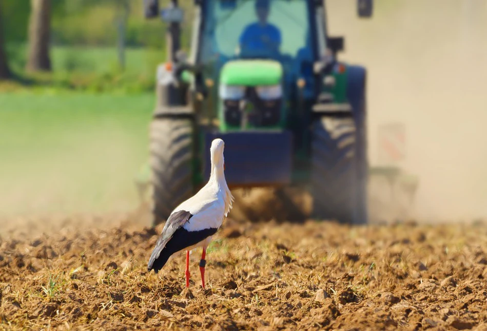 Ponad 200 tys. rolników czeka na pomoc suszową za 2019. Ile dopłat ARiMR wypłaciła?