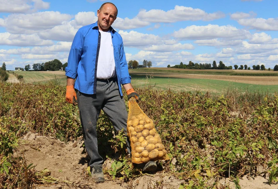 Jaki jest klucz do sukcesu w produkcji ziemniaków jadalnych w niewielkim gospodarstwie?