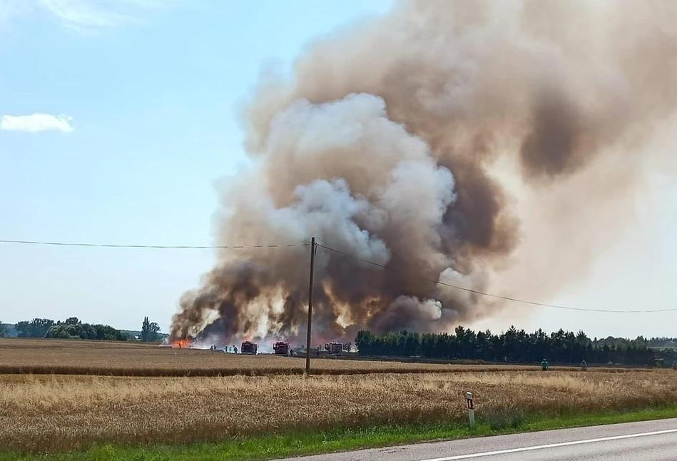 Pożar 100 ha zbóż na Podkarpaciu. Straty są ogromne