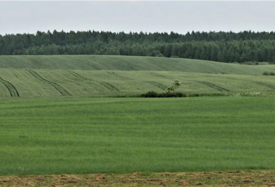 Raport IUNG - gdzie stwierdzono największe niedobory wody?