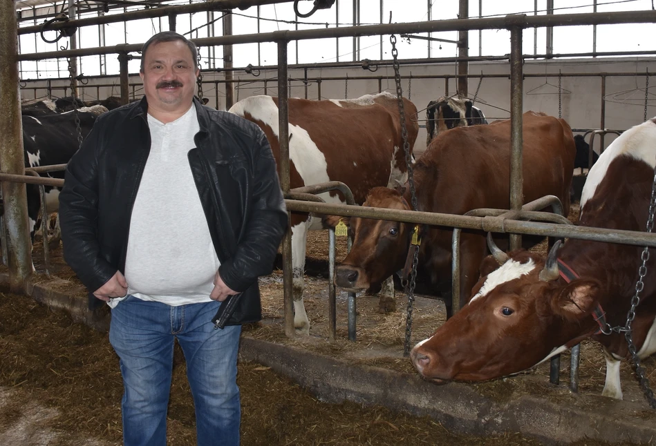 Rolnik z Podlasia postawił na niespotykany projekt obory uwięziowej. Jaki?